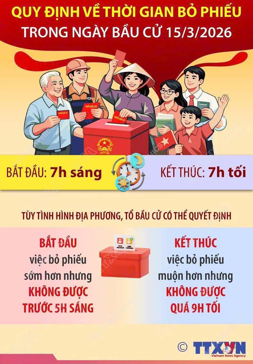Vận động viên đi bầu cử thế nào khi thường xuyên thi đấu xa nhà? - Ảnh 3.