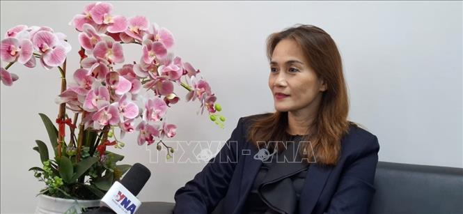 Bầu cử Quốc hội và HĐND: Kỳ vọng vào bộ máy lãnh đạo tinh gọn, hiệu quả - Ảnh 1.