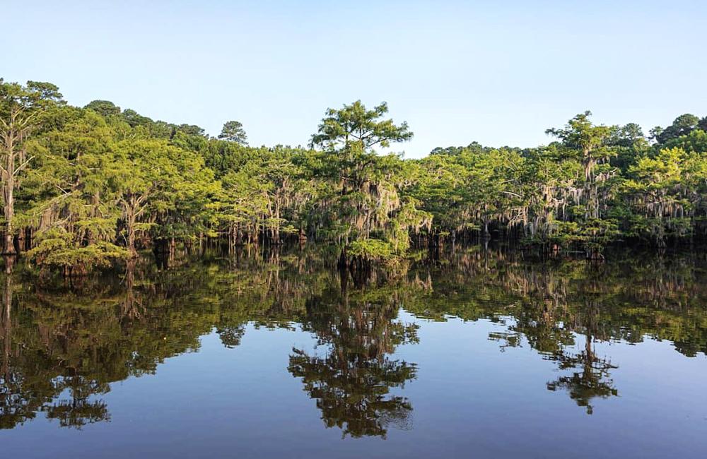 Top 5 những địa điểm du lịch nổi tiếng ở Texas mà mọi người ít biết đến - Ảnh 1.