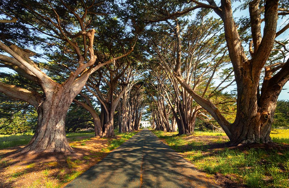 Top các địa điểm ít người biết đến ở California - Ảnh 3. Top các địa điểm ít người biết đến ở California - Ảnh 3.