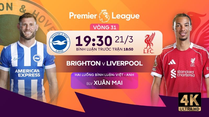 Link xem trực tiếp bóng đá Brighton vs Liverpool 19h30 hôm nay, Ngoại hạng Anh vòng 31 - Ảnh 2.