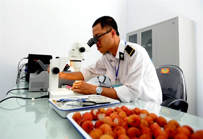 Chiến lược phát triển năng lượng nguyên tử Việt Nam: Chuyển giao công nghệ, mở rộng ứng dụng vào đời sống - Ảnh 2.