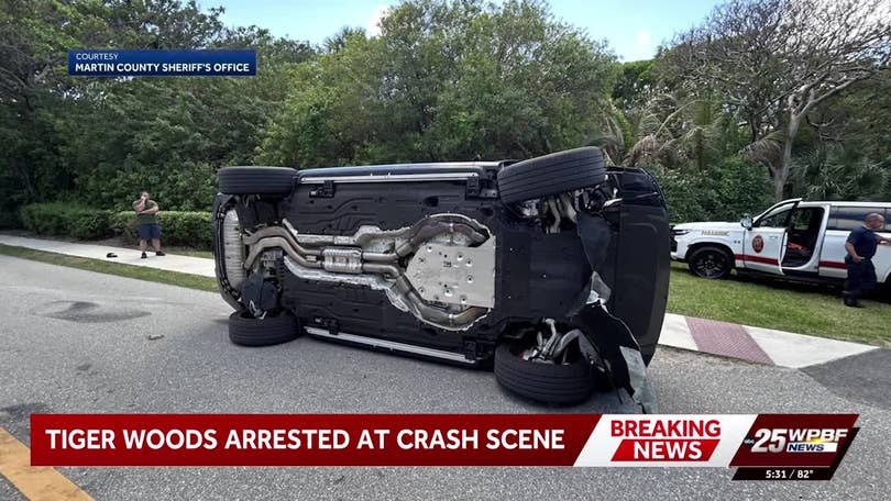Tay golf Tiger Woods bị cảnh sát bắt giữ sau vụ lật xe  - Ảnh 2.