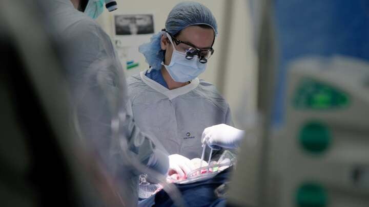 Bản lĩnh GS. Việt Tống Liên Chi: Chinh phục NIH bằng trí tuệ, chạm đến trái tim bệnh nhân  - Ảnh 2.