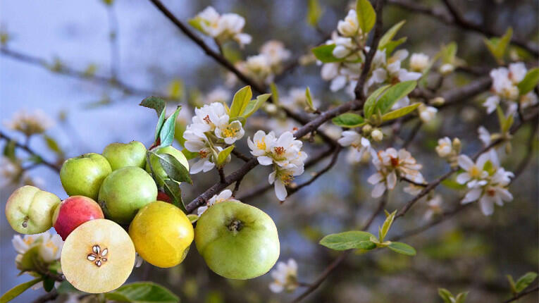 Ngẫm ngợi cuối tuần: Thơ ca bám trụ ở đường biên - Ảnh 1.