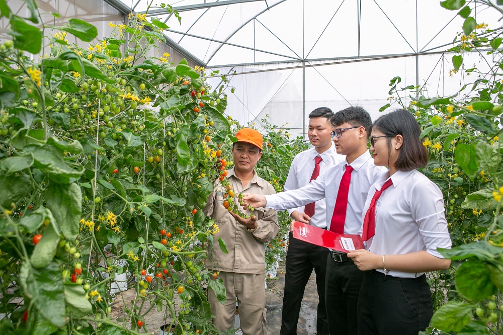 Agribank - Dòng vốn chủ lực đồng hành cùng nông nghiệp Việt Nam bước váo giai đoạn phát triển mới - Ảnh 2.