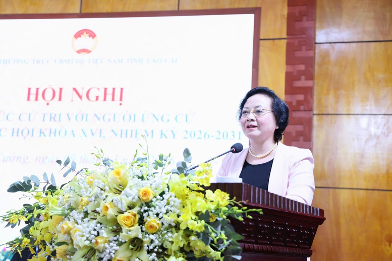 Phó Thủ tướng Phạm Thị Thanh Trà thông tin về lộ trình cải cách tiền lương, tăng lương cơ sở, điều chỉnh lương hưu, trợ cấp - Ảnh 1.