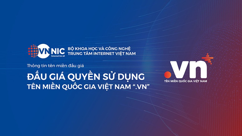 Đấu giá tên miền - cơ hội khai thác hiệu quả tài nguyên Internet quốc gia - Ảnh 1.