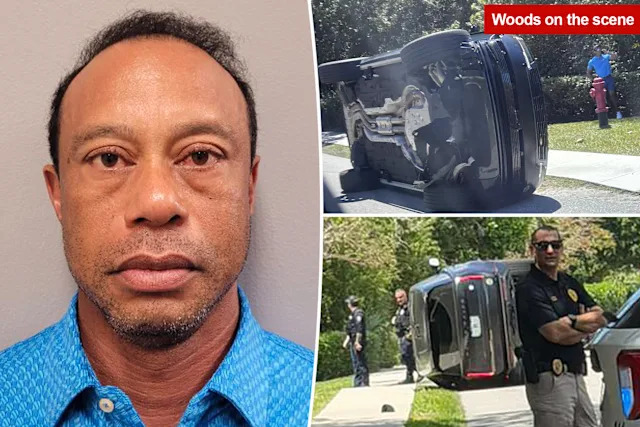 Tiger Woods lên tiếng sau khi gây tai nạn và bị bắt giữ - Ảnh 1.