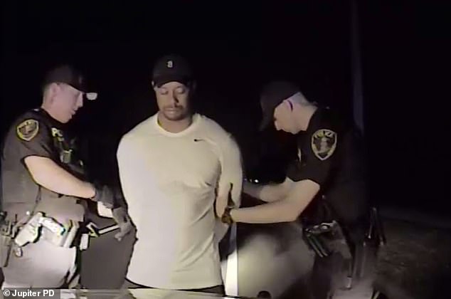 Tiger Woods lên tiếng sau khi gây tai nạn và bị bắt giữ - Ảnh 3.