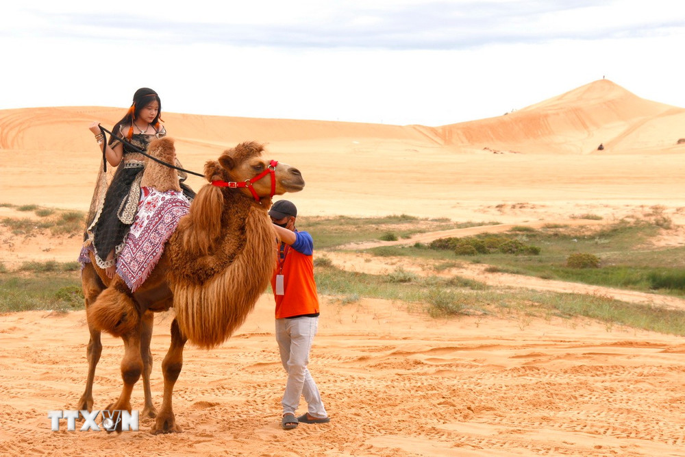 Mũi Né bất ngờ trở thành điểm đến xu hướng toàn cầu năm 2026 - Ảnh 2. Mũi Né bất ngờ trở thành điểm đến xu hướng toàn cầu năm 2026 - Ảnh 2.
