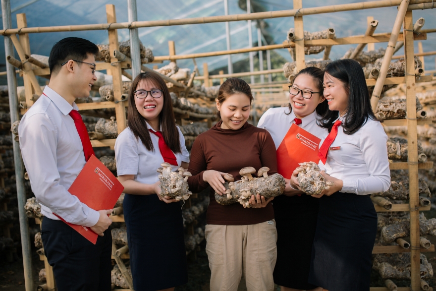Agribank đồng hành cùng hộ kinh doanh: Kê khai thuế dễ dàng – Chuyển đổi doanh nghiệp vững vàng - Ảnh 3.