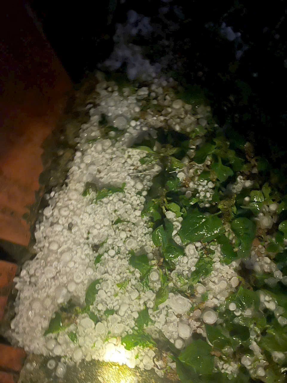 Từ ngày 18-26/4, nhiều khu vực ngày nắng nóng, chiều tối và đêm có mưa dông - Ảnh 2.