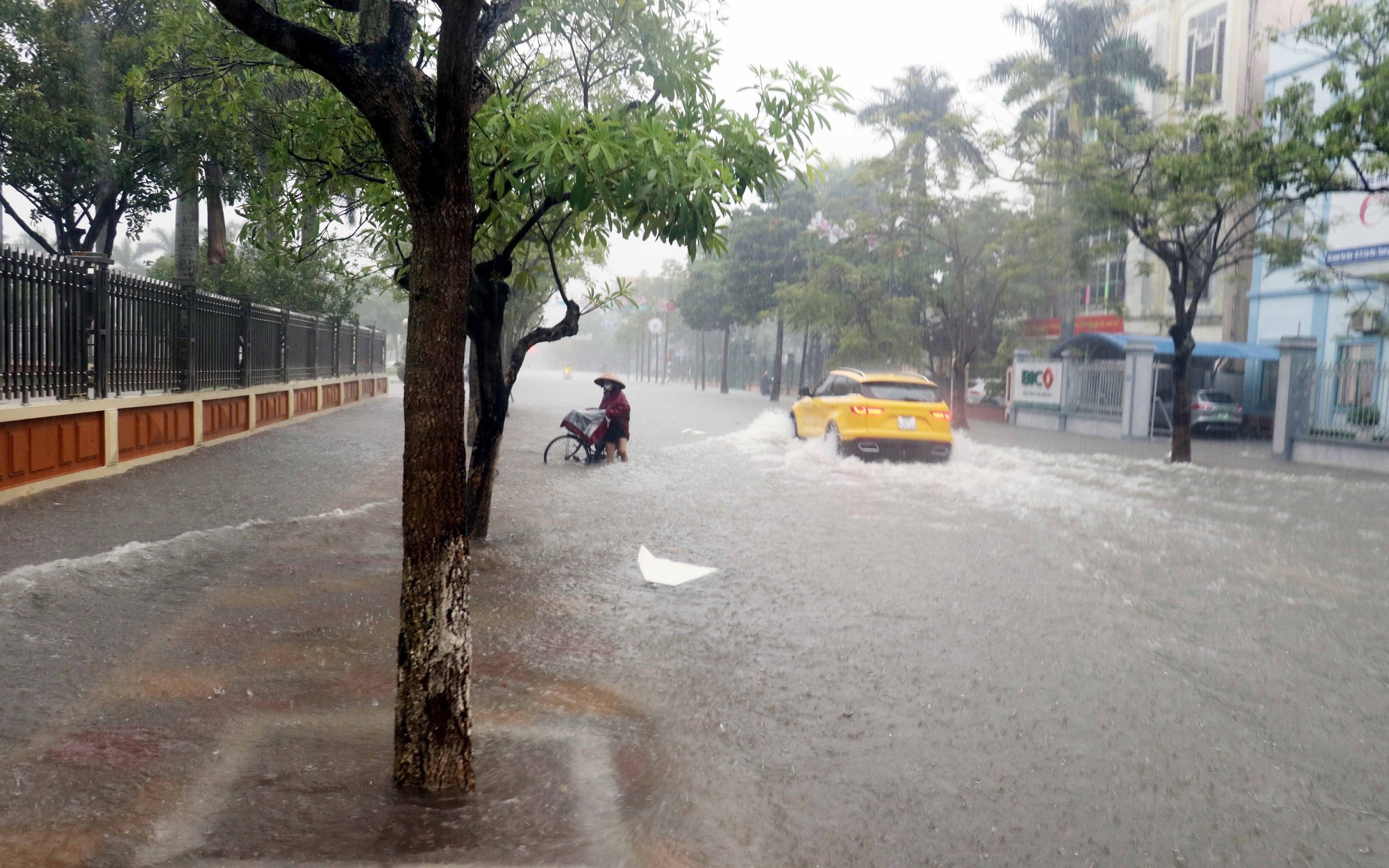 Dự báo thời tiết ngày 3/4: Cảnh báo mưa dông, gió giật mạnh ở Bắc Bộ