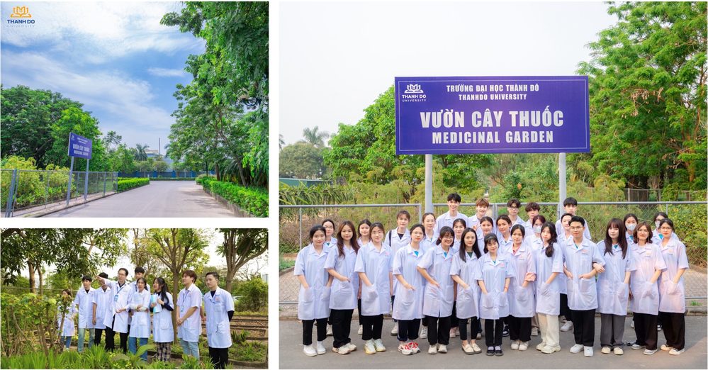 Trường Đại học Thành Đô: Campus xanh chuẩn “healing” dành cho các bạn 2K8 - Ảnh 6.