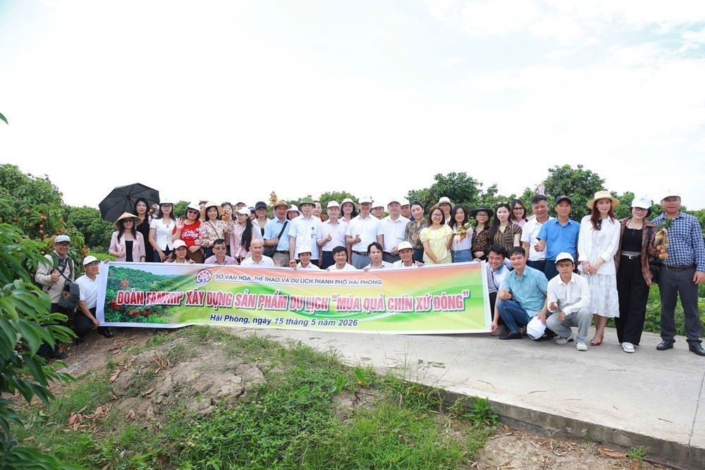 Hiến kế đưa "Mùa quả chín Xứ Đông" thành đặc sản du lịch - Ảnh 3.
