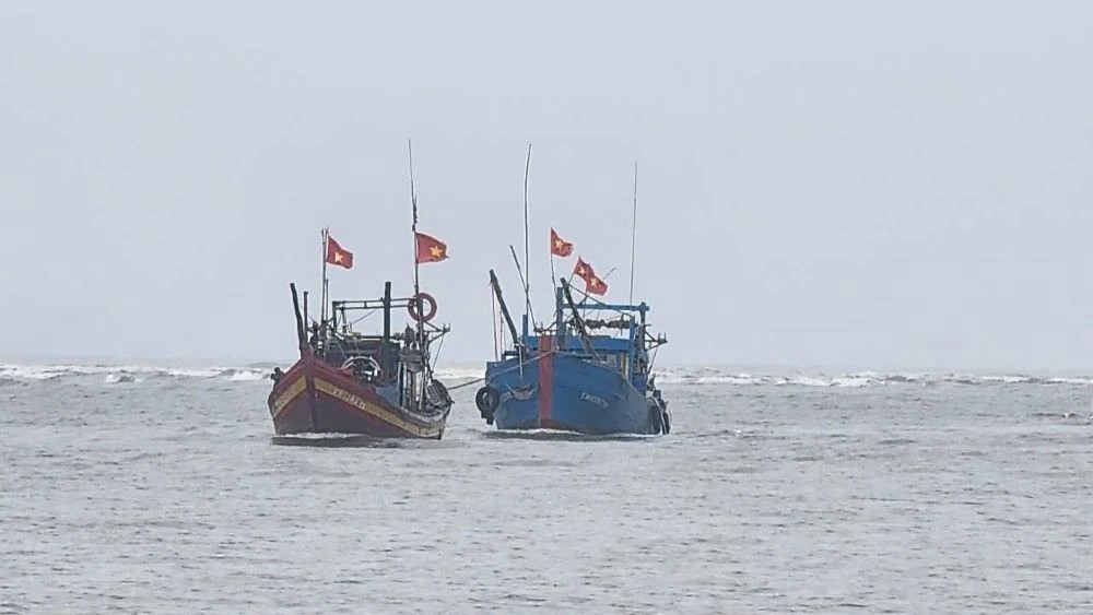 Mưa lớn, dông, lốc gây thiệt hại ước khoảng hơn 10 tỷ đồng - Ảnh 3. Mưa lớn, dông, lốc gây thiệt hại ước khoảng hơn 10 tỷ đồng - Ảnh 3.