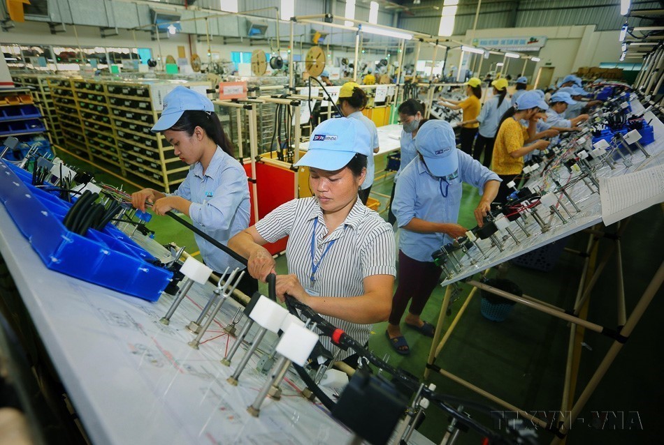 Việt Nam - Ấn Độ: Mở rộng không gian hợp tác thương mại trong giai đoạn mới - Ảnh 1.
