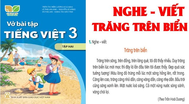 Đêm trăng lên trên biển Cửa Tùng - Ảnh 2.