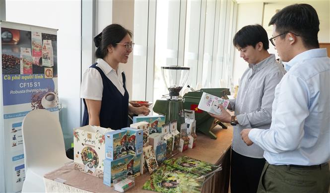 Bảo vệ môi trường: Chuyển đổi xanh là xu thế không thể đảo ngược - Ảnh 2.