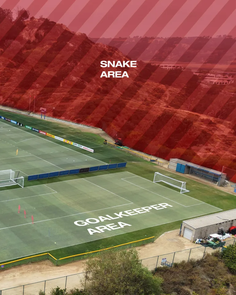 Đại bản doanh World Cup 2026 của Thụy Sĩ xuất hiện rắn độc, cầu thủ được phát cảnh báo - Ảnh 1.