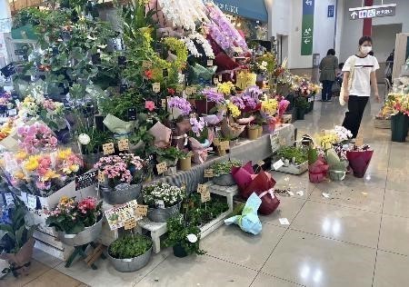 Động đất tại Nhật Bản: Ghi nhận một số thiệt hại ban đầu - Ảnh 1.