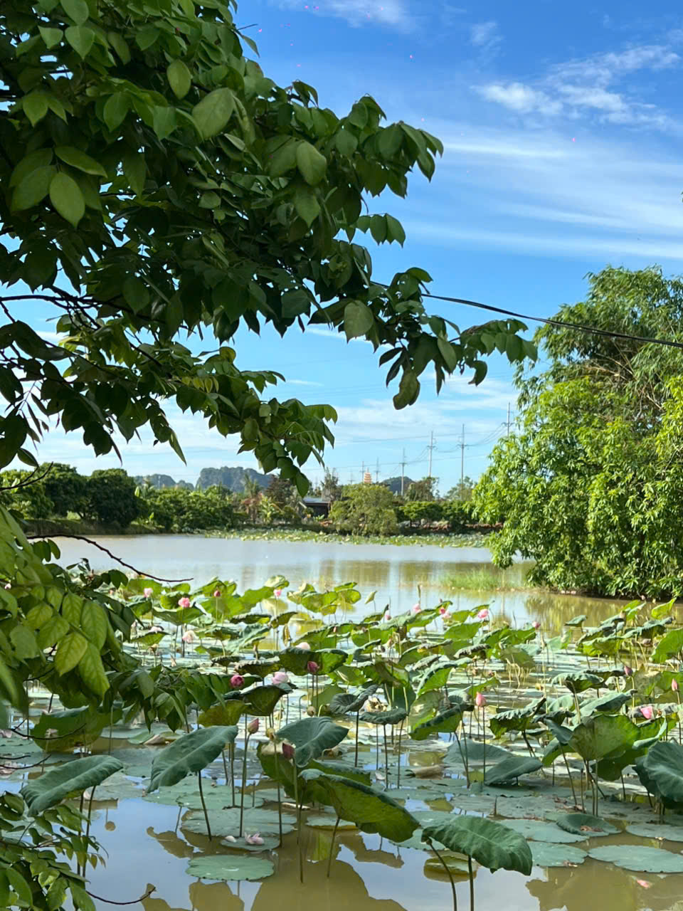 Muốn giữ văn hóa Mường, trước hết phải còn người sống cùng - Ảnh 10. Muốn giữ văn hóa Mường, trước hết phải còn người sống cùng - Ảnh 10.