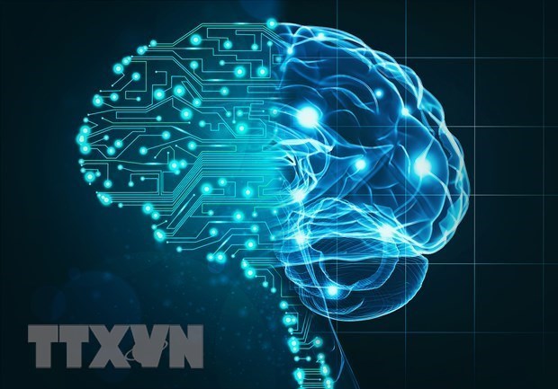 AI có thể sẽ không đưa kỷ nguyên tăng trưởng năng suất cao trở lại - Ảnh 1.