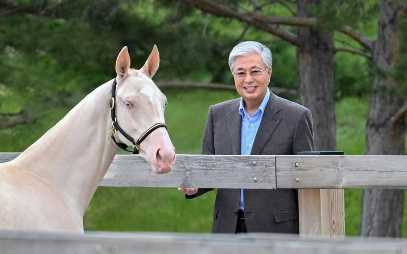 Aqzhan "Tâm hồn thuần khiết" - ngựa quý đặc biệt được Tổng thống Kazakhstan yêu thích - Ảnh 1. Aqzhan "Tâm hồn thuần khiết" - ngựa quý đặc biệt được Tổng thống Kazakhstan yêu thích - Ảnh 1.