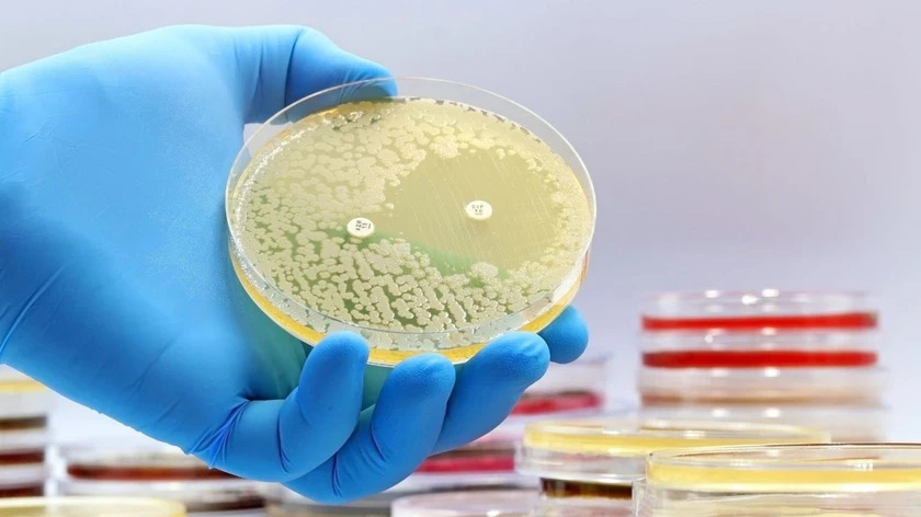 Trí tuệ nhân tạo: AI tạo virus có khả năng tiêu diệt vi khuẩn kháng thuốc - Ảnh 1. Trí tuệ nhân tạo: AI tạo virus có khả năng tiêu diệt vi khuẩn kháng thuốc - Ảnh 1.