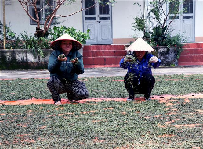 Phát huy giá trị văn hóa bản địa, nâng sức cạnh tranh của sản phẩm OCOP - Ảnh 1.