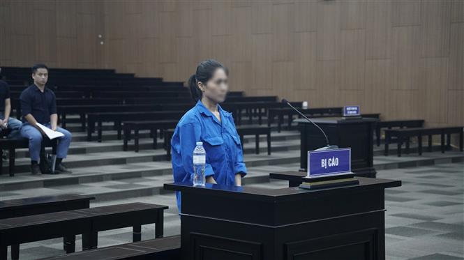 Giám đốc show “Về đây bốn cánh chim trời” bị phạt 24 tháng tù - Ảnh 2. Giám đốc show “Về đây bốn cánh chim trời” bị phạt 24 tháng tù - Ảnh 2.