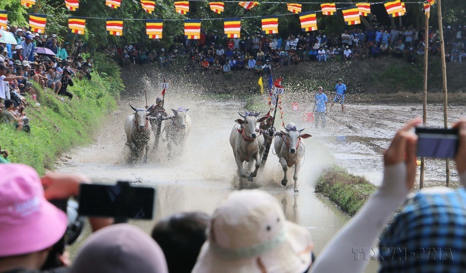 Di sản văn hóa - ảnh 4