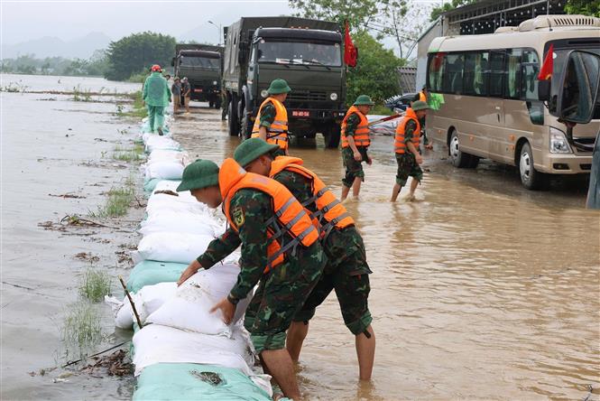 Nước sông Bùi dâng cao gây tràn đê: Các xã Hà Nội khẩn cấp ứng phó - Ảnh 3. Nước sông Bùi dâng cao gây tràn đê: Các xã Hà Nội khẩn cấp ứng phó - Ảnh 3.