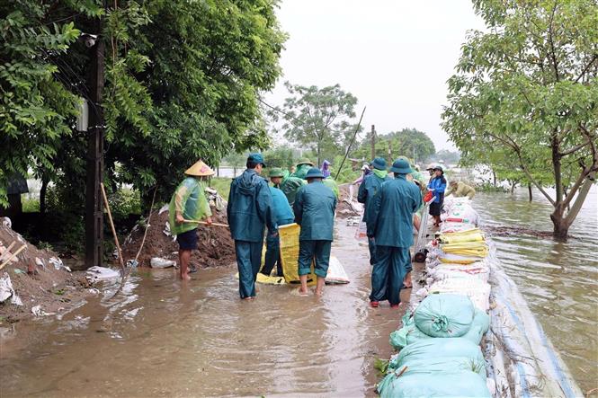 Nước sông Bùi dâng cao gây tràn đê: Các xã Hà Nội khẩn cấp ứng phó - Ảnh 2. Nước sông Bùi dâng cao gây tràn đê: Các xã Hà Nội khẩn cấp ứng phó - Ảnh 2.
