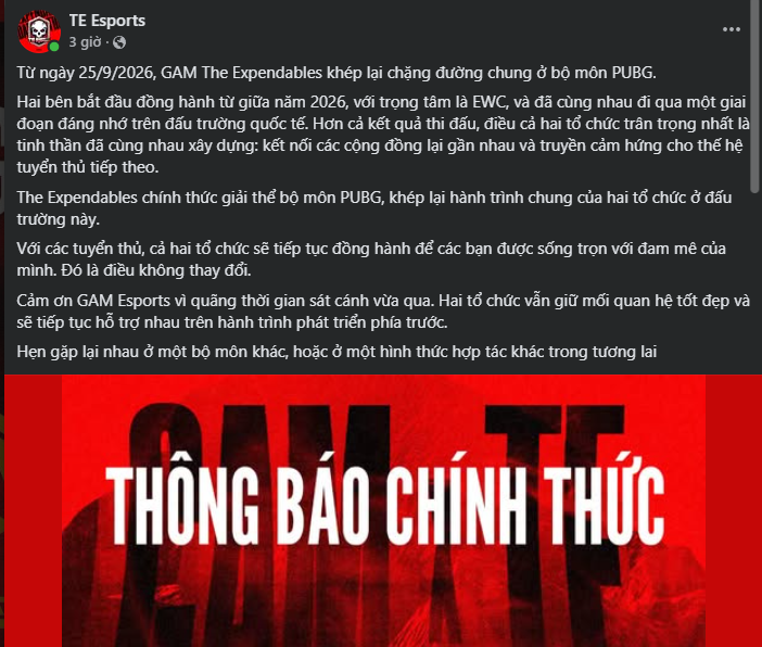 Game thủ Việt Nam giải nghệ PUBG sau án cấm vĩnh viễn, đội thể thao điện tử khác cũng bỏ game - Ảnh 3.