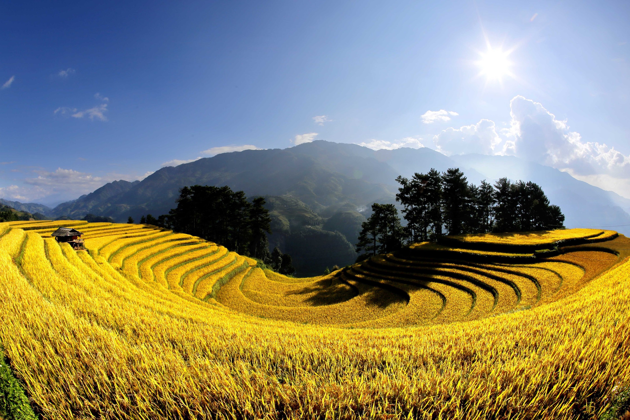 Ruộng bậc thang Mù Cang Chải, Púng Luông
