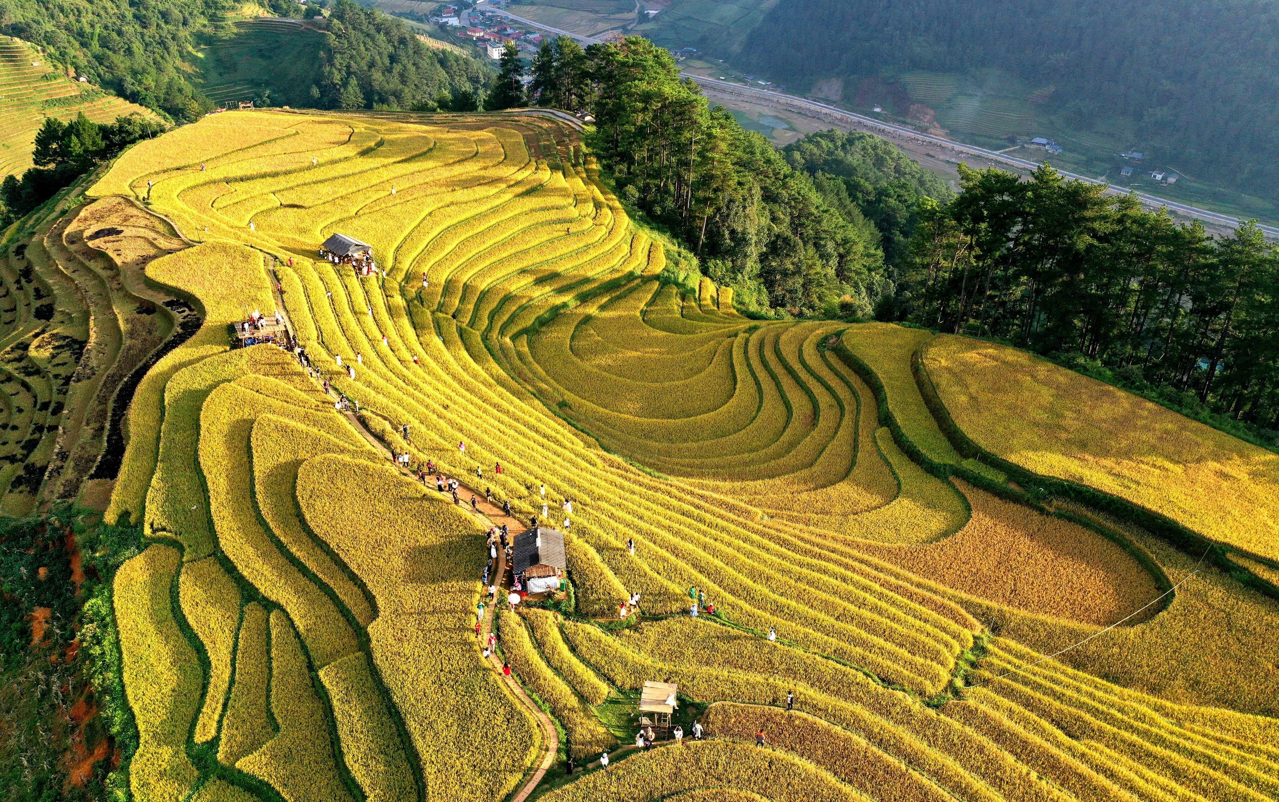 Ruộng bậc thang Mù Cang Chải, Púng Luông