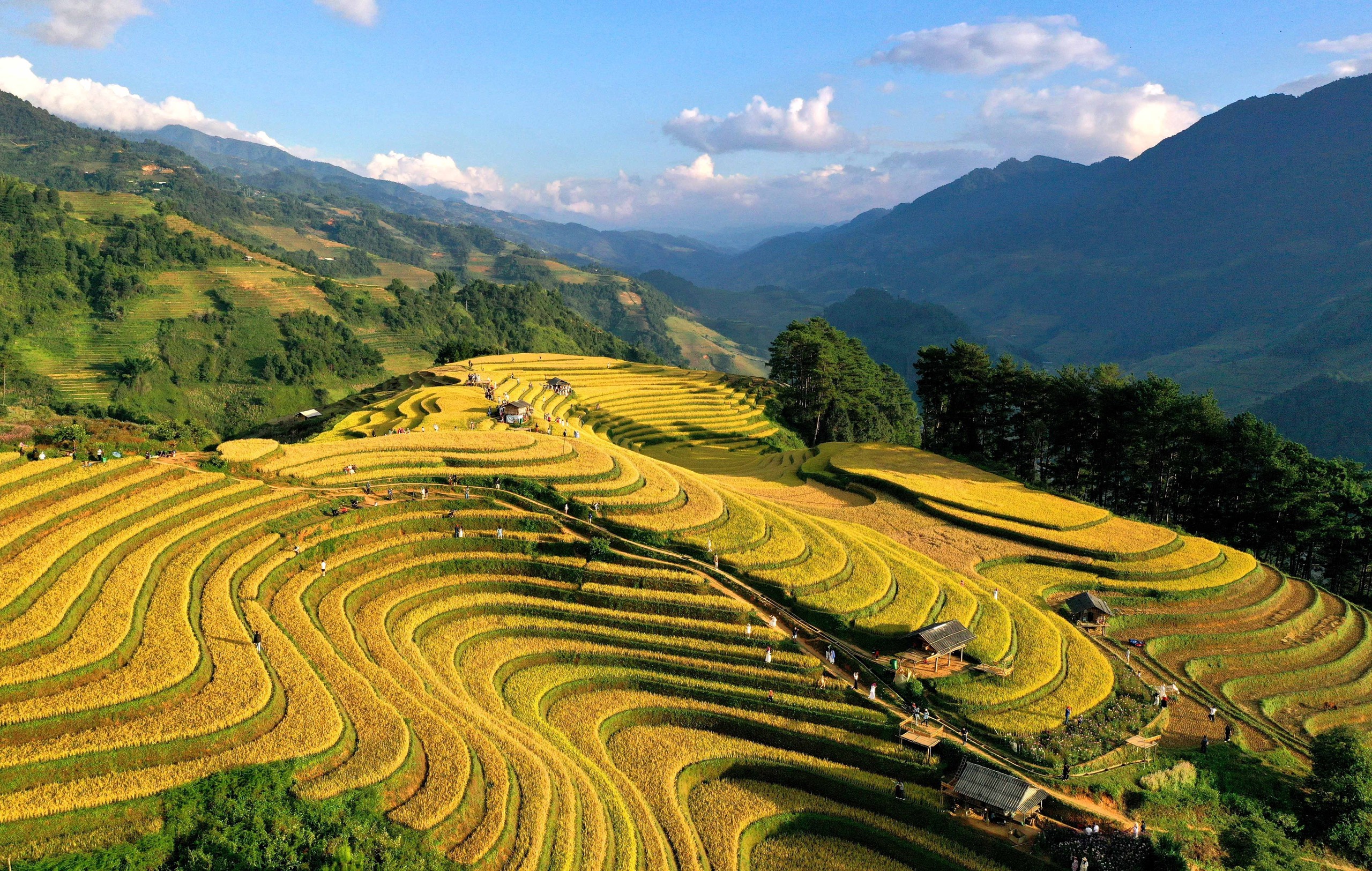 Ruộng bậc thang Mù Cang Chải, Púng Luông
