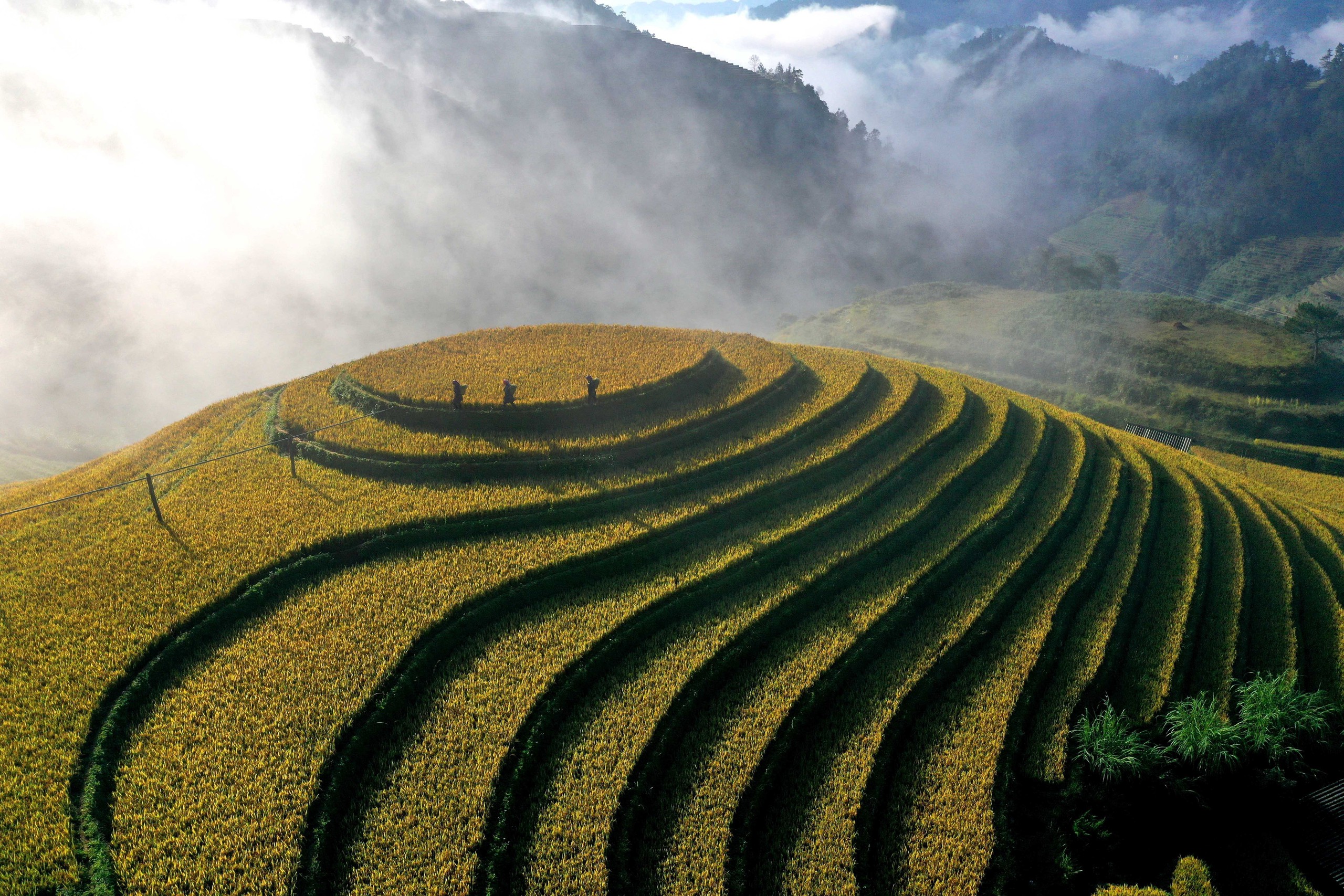 Ruộng bậc thang Mù Cang Chải, Púng Luông
