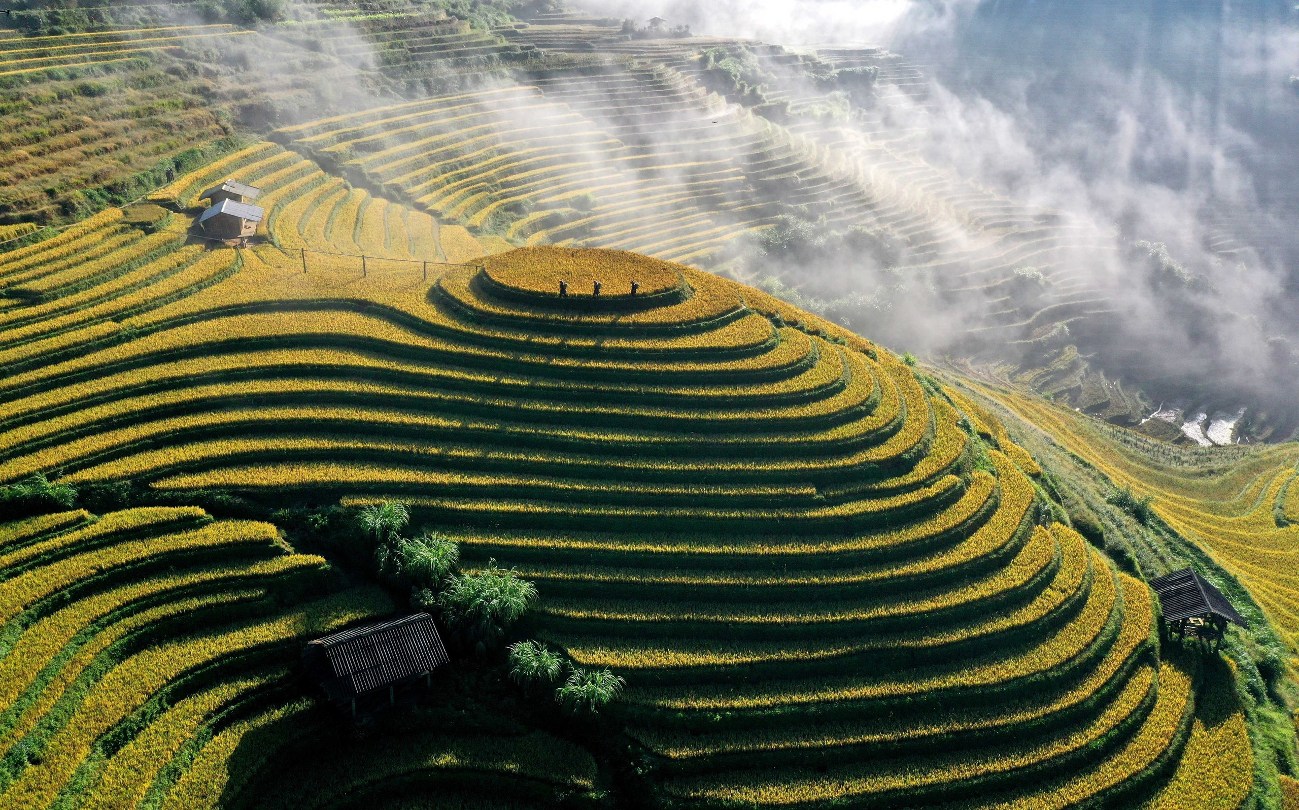Ruộng bậc thang Mù Cang Chải, Púng Luông