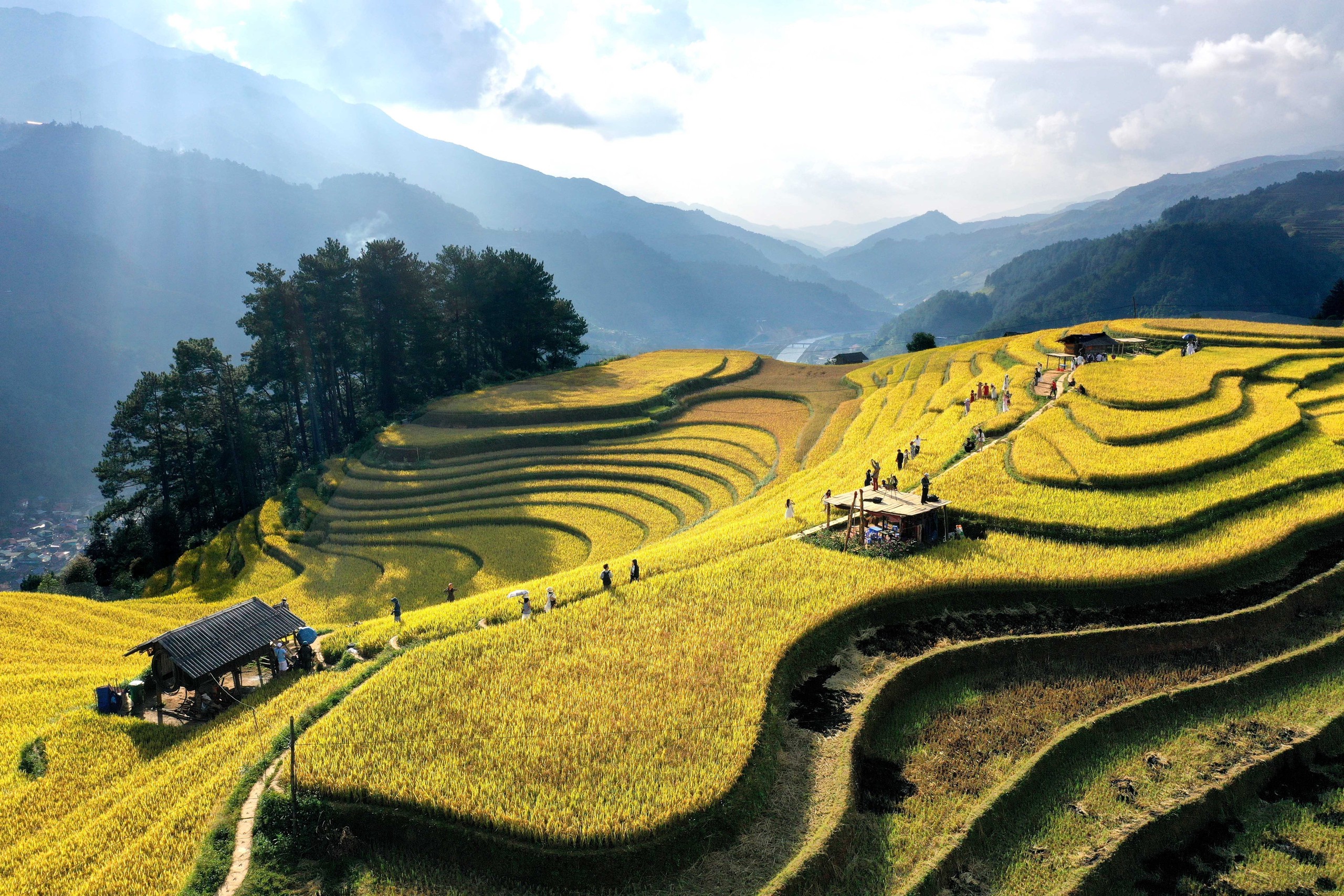 Ruộng bậc thang Mù Cang Chải, Púng Luông