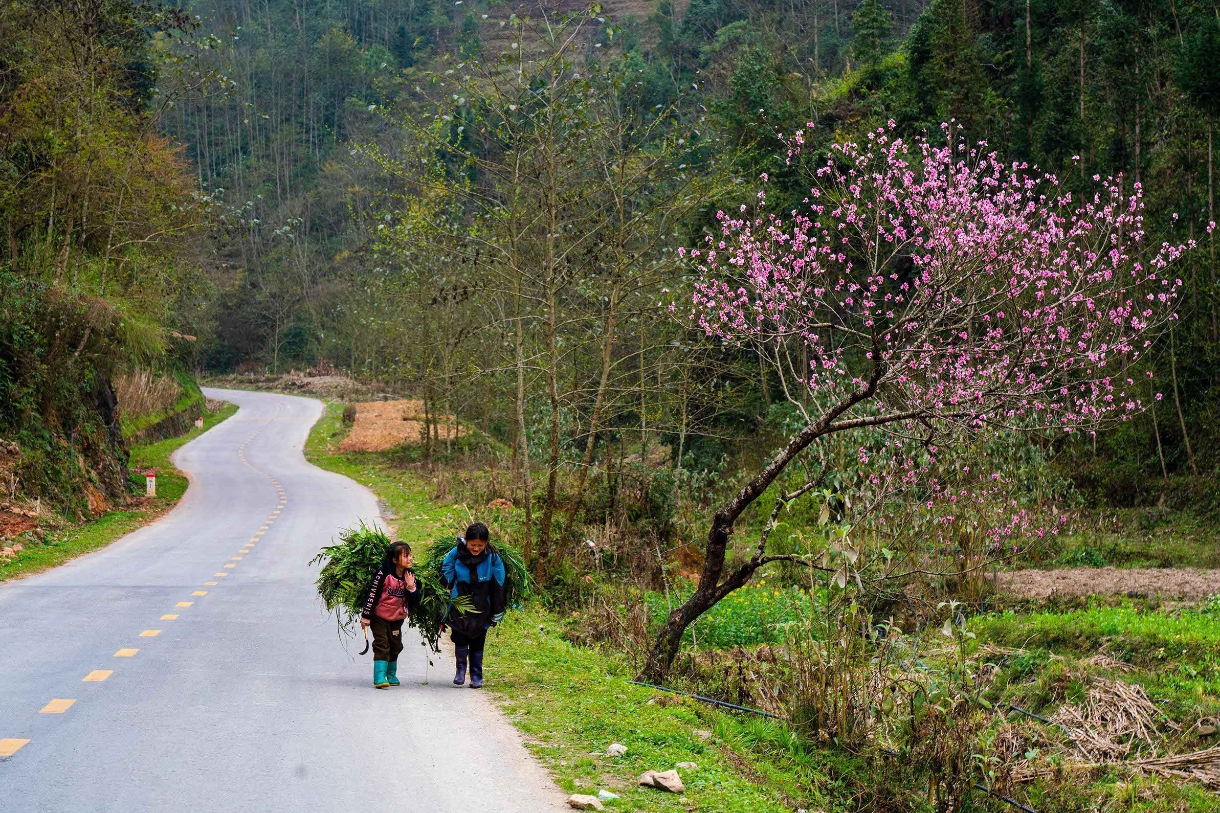 Cao nguyên đá Đồng Văn