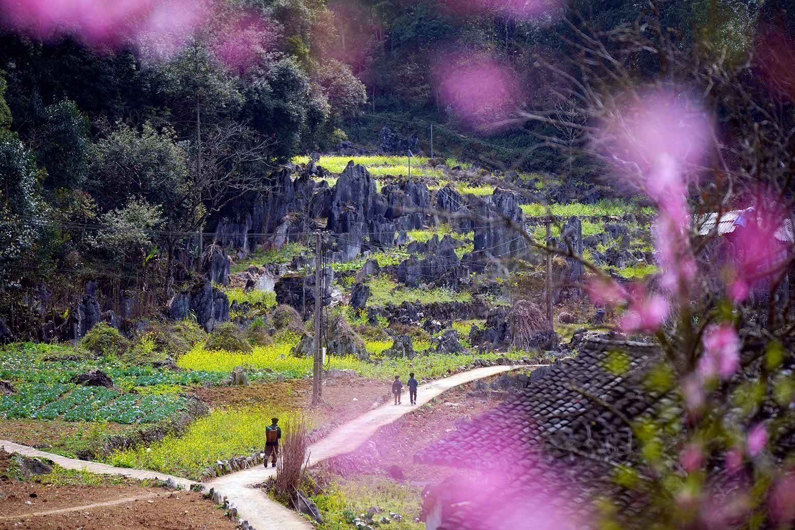 Cao nguyên đá Đồng Văn