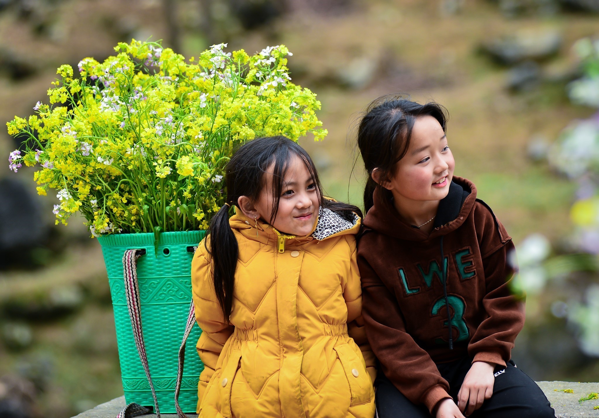 Mùa hoa cải trên Cao nguyên đá