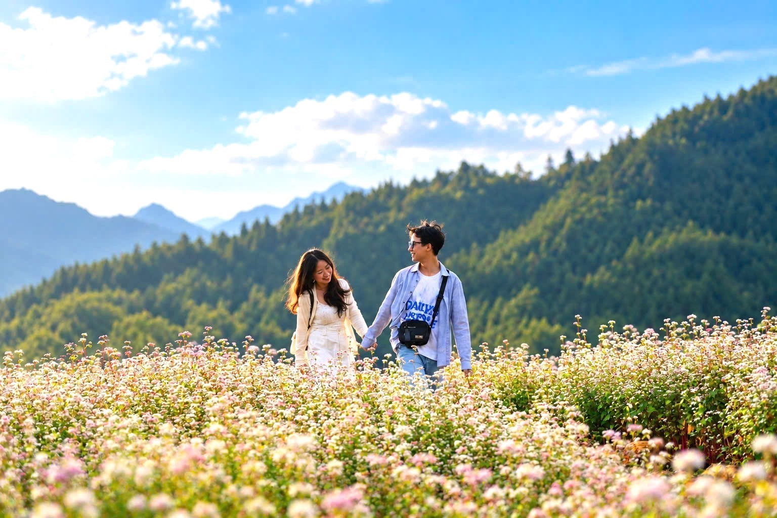 Hoa tam giác mạch trên Cao nguyên đá Đồng Văn