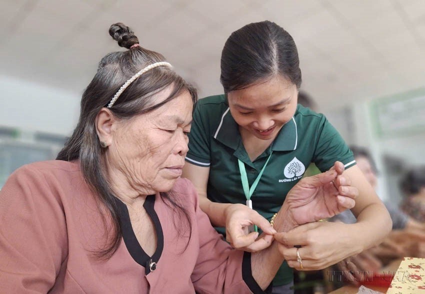Người cao tuổi Việt Nam
