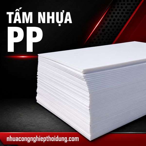 Nhựa Công Nghiệp Thời Dựng phân phối nhựa công nghiệp và cao su kỹ thuật - Ảnh 2.