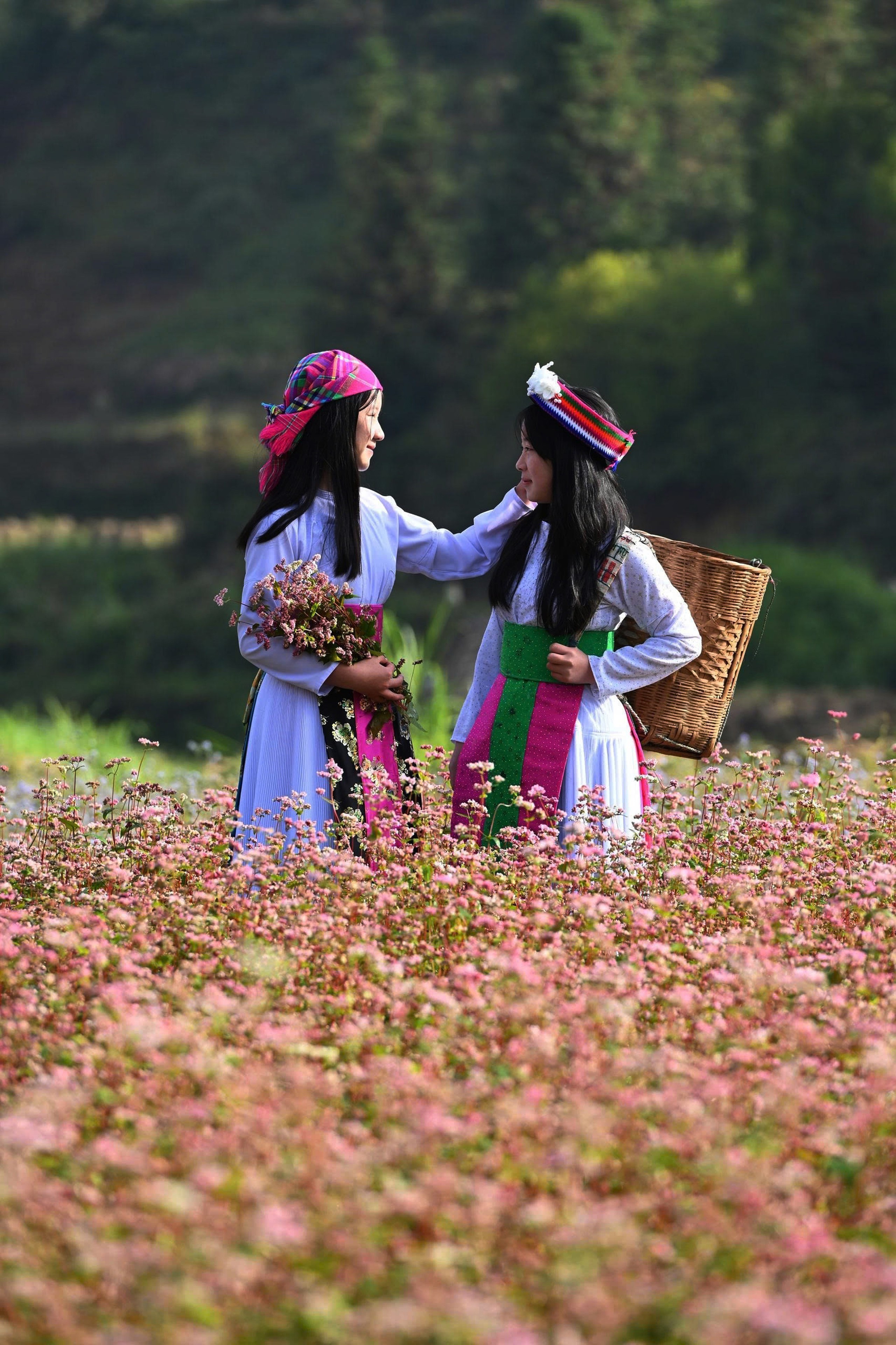 Mùa hoa Tam giác mạch trên Cao nguyên đá Đồng Văn - ảnh 3
