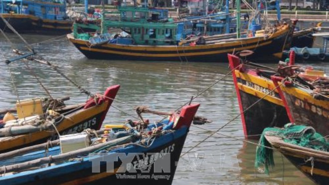 Cập nhật cơn bão số 14: Bình Thuận họp khẩn cấm tàu ra biển